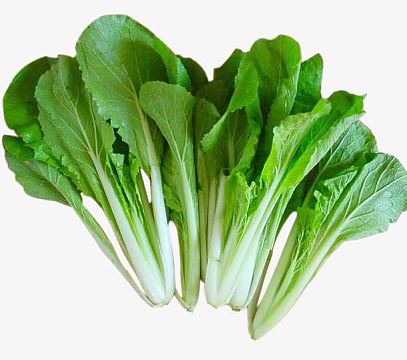 健康小白菜