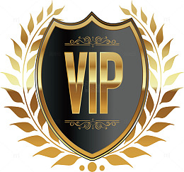 vip元素设计