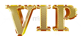 vip等级vip字体会员