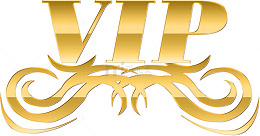 vip会员等级vip字体会员