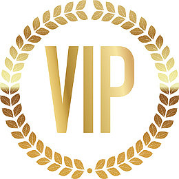 vip元素设计
