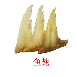三个鱼翅