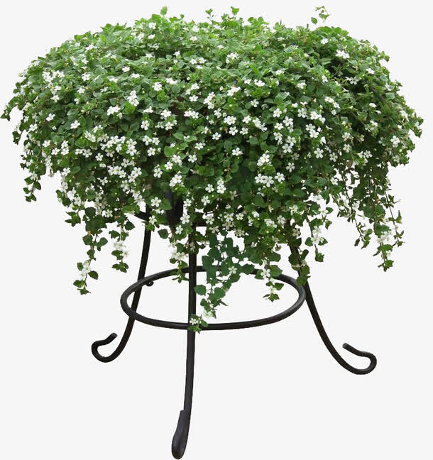 绿色植物家具花架免抠素材免费下载_觅元素51yuansu.com
