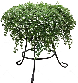绿色植物家具花架