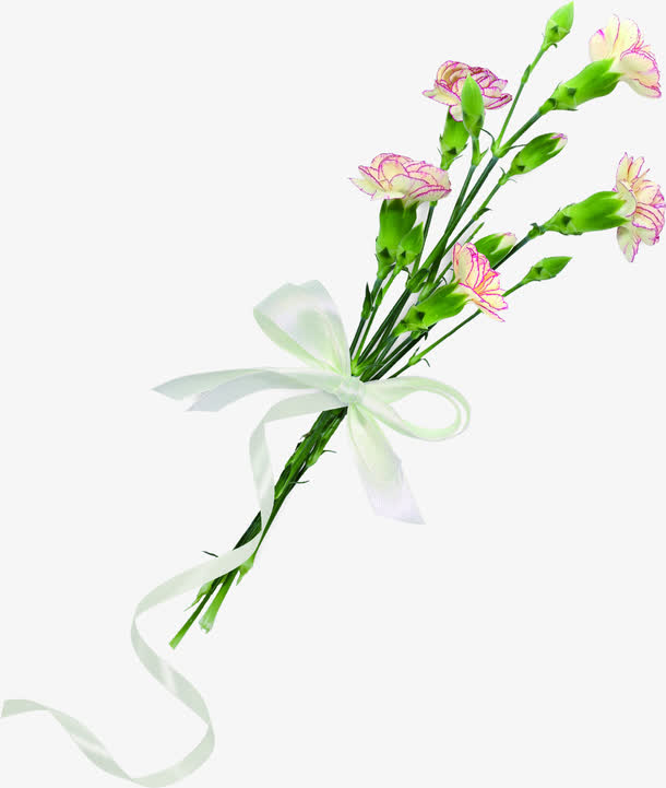 创意小清新植物花朵免抠素材免费下载_觅元素51yuansu.com