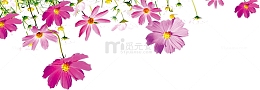 创意感恩教师节海报小清新植物花朵