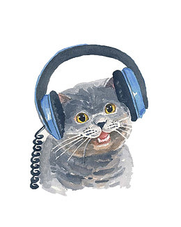 听歌的猫咪图片素材