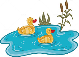 池塘里的小鸭子