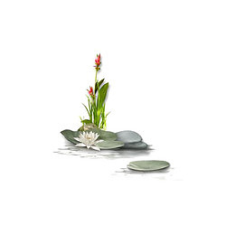 绿色草叶