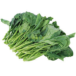 绿色的芥蓝叶子菜