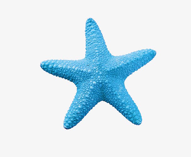 蓝色海星素材图片