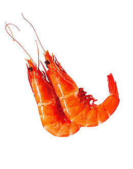 海鲜虾免抠PNG图片