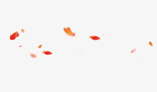 漂浮红叶