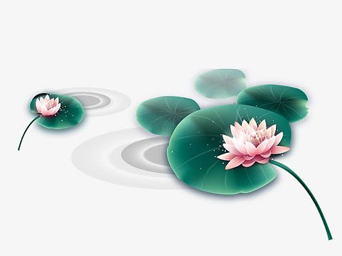 荷叶 莲蓬  蜻蜓 元素图aijpg矢量古风工笔画水墨荷花背景png彩色