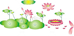 夏天的手绘莲花