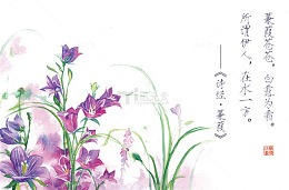 诗经花朵插画配图