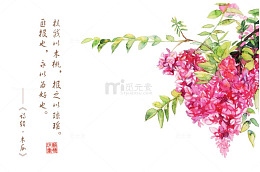 诗经花朵插画配图