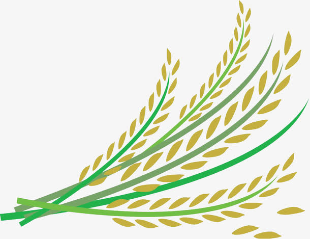 水稻矢量图下载素材免费下载_觅元素