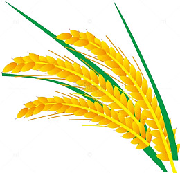 粮食矢量