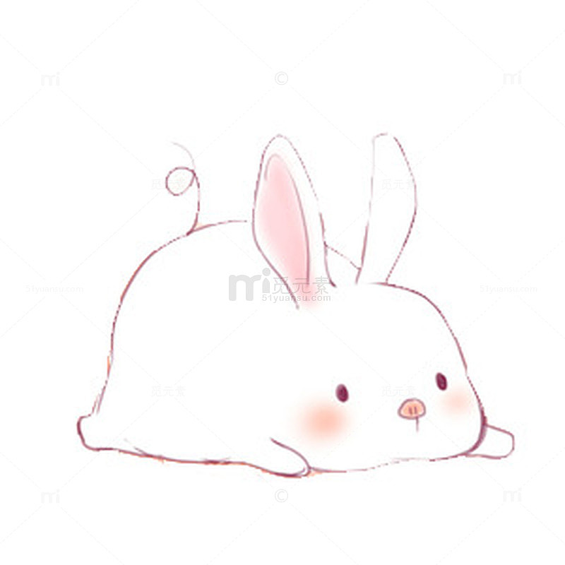 兔子