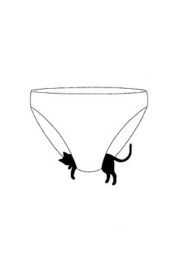 猫咪