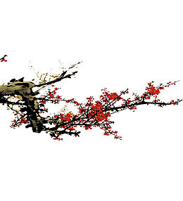 梅花图片素材