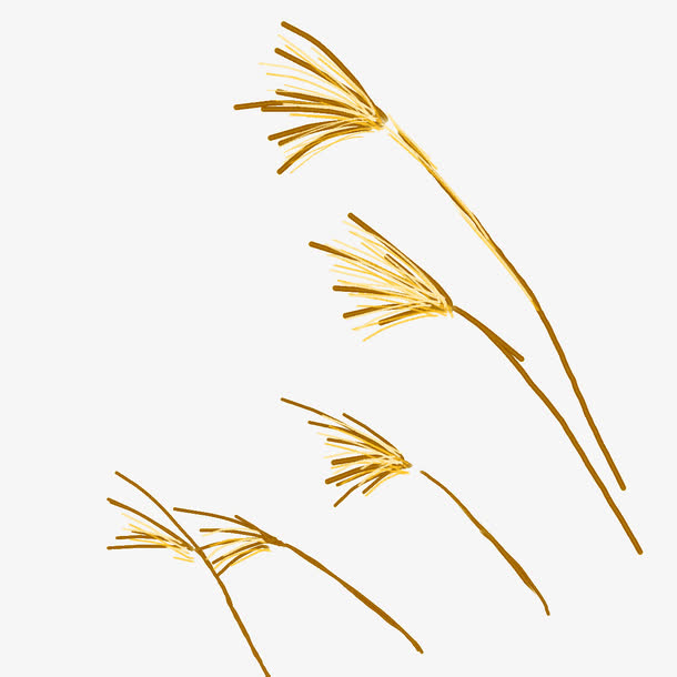 手绘黄色稻草免抠素材免费下载_觅元素51yuansu.com