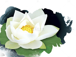 莲花素材