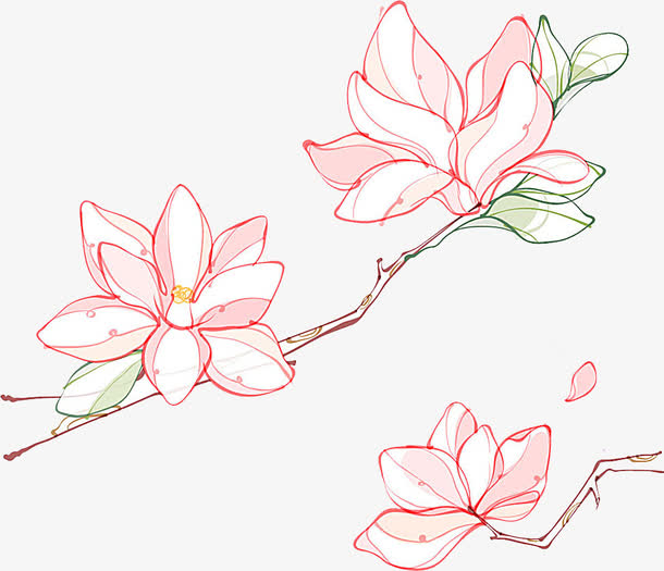 手绘荷花