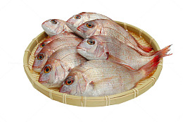 高清竹筐里的海鱼