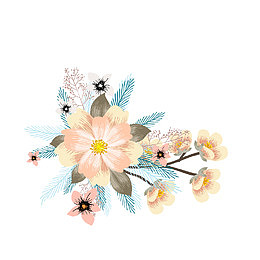 手绘好看的花卉