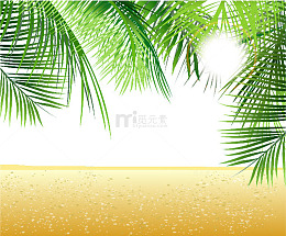 沙滩椰树