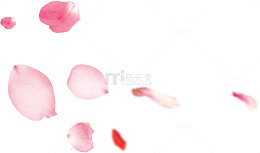 漂落的花瓣