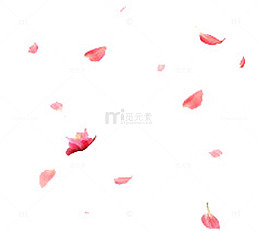 漂浮花瓣