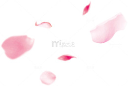 漂浮桃花瓣