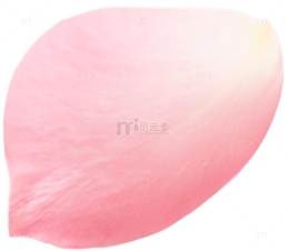 粉色花瓣装饰图案