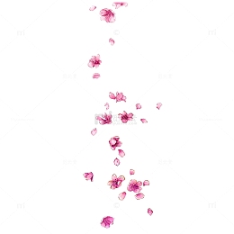 花瓣浮漂元素