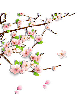 唯美精美桃花花朵花枝花瓣树叶装