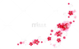 粉色桃花