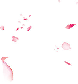 漂浮桃花花瓣