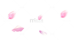 粉色桃花瓣漂浮素材