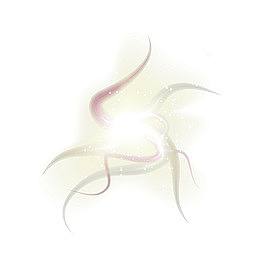 曲线的炫光