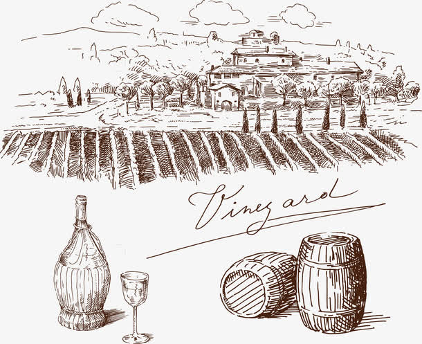 关键词 : 手绘线稿,矢量素材,酒类广告,矢量,酒桶酒窖,免费png,ai矢量