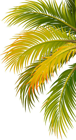 绿色手绘大叶子装饰图案