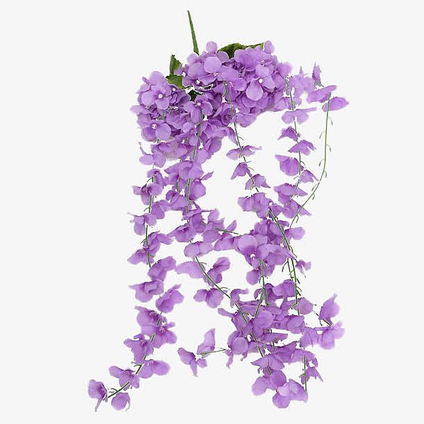 紫罗兰花朵