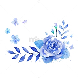 蓝色的玫瑰花