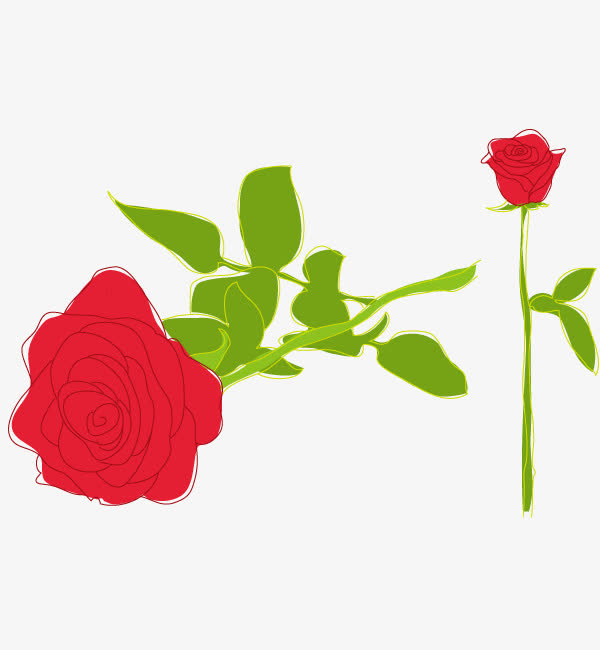玫瑰花素材免费下载_觅元素