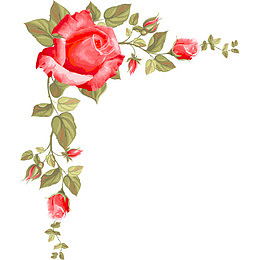 玫瑰花边框