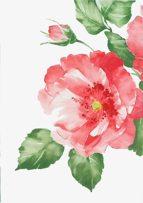 手绘玫瑰花免抠素材免费下载_觅元素51yuansu.com