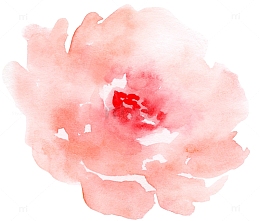 手绘水彩玫瑰花装饰元素